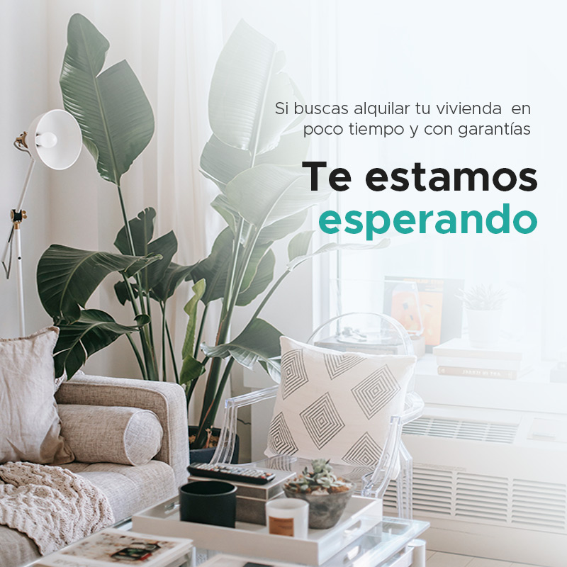 alquila con inmopiquer